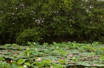 關(guān)山國家地質(zhì)公園