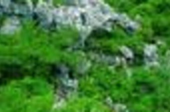 三衢森林公園
