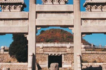 元帥林