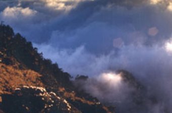 合歡山森林游樂區
