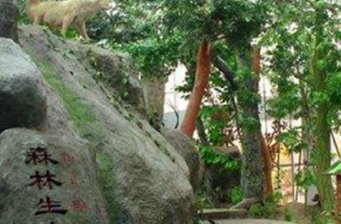 綠水地質景觀展示館