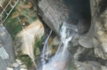 文山溫泉