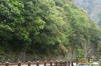 合流露營區