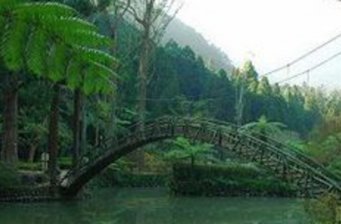 溪頭風景區