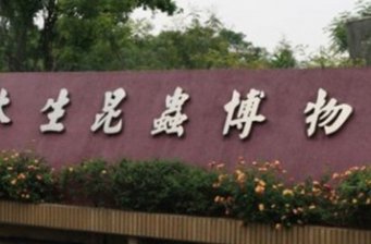 木生昆蟲博物館