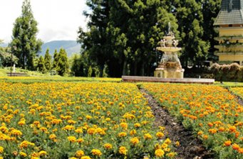 清境小瑞士花園