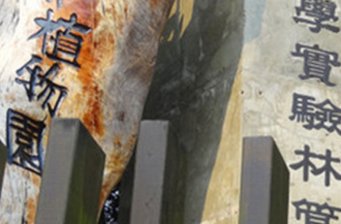 臺大熱帶林標本園