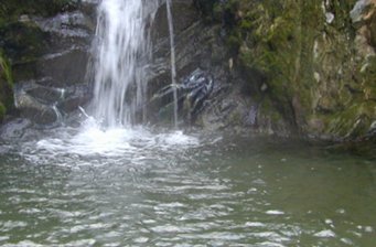 春陽溫泉