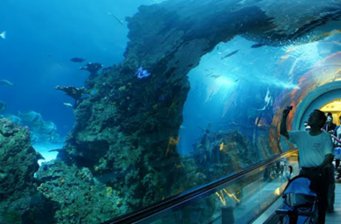 屏東國立海洋生物博物館