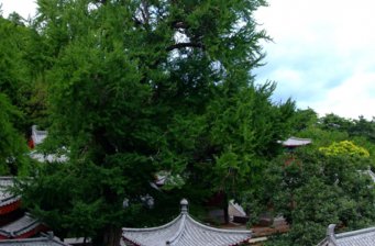 靈泉山