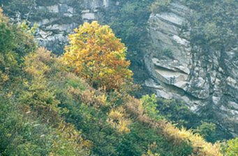 腰帶山