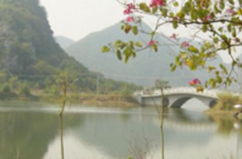 立魚峰