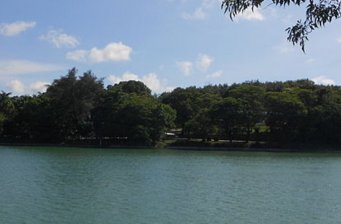 澄清湖