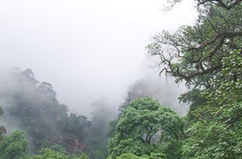 天寶巖