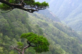 龍王山