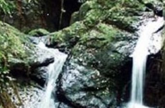 大王山國(guó)家森林公園