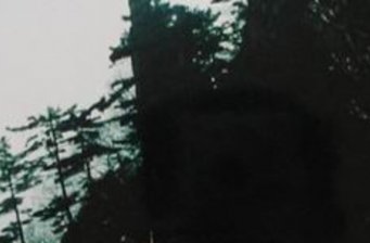 南召石人山南麓旅游區