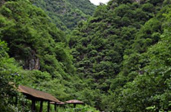 燈臺架