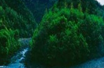 馬頭山