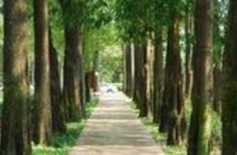 臺中經(jīng)國綠園道