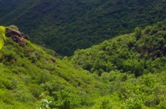 烏蘭木山