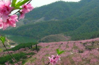 桃花山