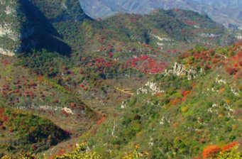 仙臺山