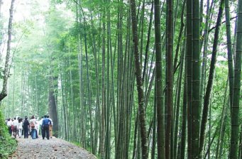 牛姆林