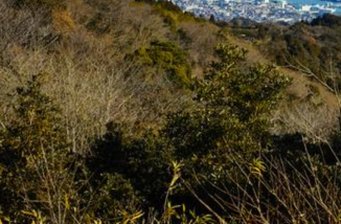 戴云山