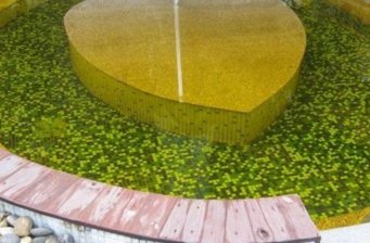 太陽河溫泉