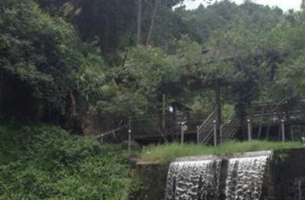西巖茶鄉山莊