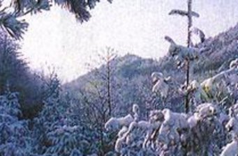 大肚溪水鳥自然公園