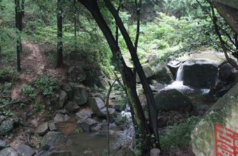 波爾登森林公園