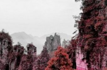 金秀蓮花山