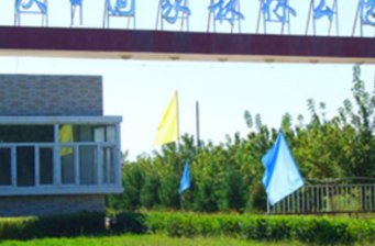 大慶國(guó)家森林公園