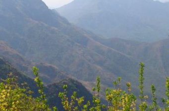摩訶山