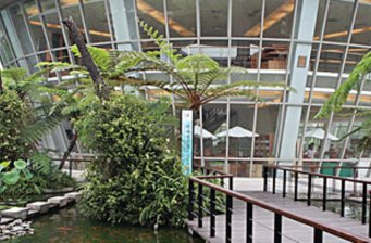 臺東原生應(yīng)用植物園
