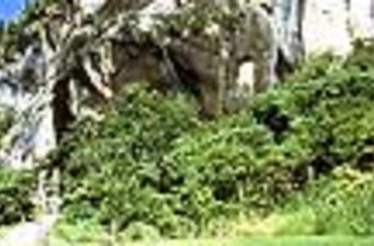 八仙洞