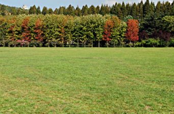 新竹中山公園