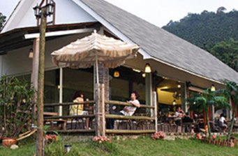 古坑華山咖啡園