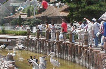 林內(nèi)公園
