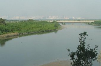 臺西鄉(xiāng)臺西沿海濕地