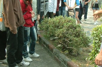 林內鄉烏涂發電廠