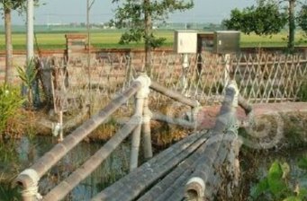 西螺鎮(zhèn)廣興教育農(nóng)園