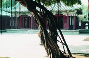 延平郡王祠