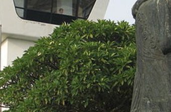 臺(tái)南市永漢民藝館