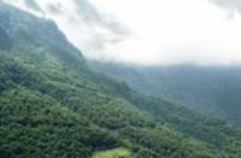邵通藥山