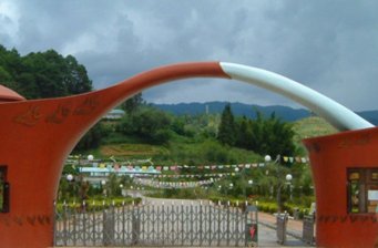 茶文化風(fēng)景園