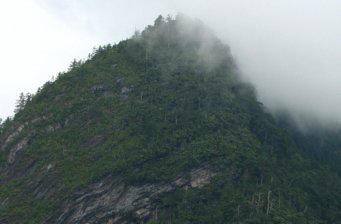 觀霧森林游樂區