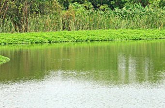 苗栗市后龍溪河濱公園